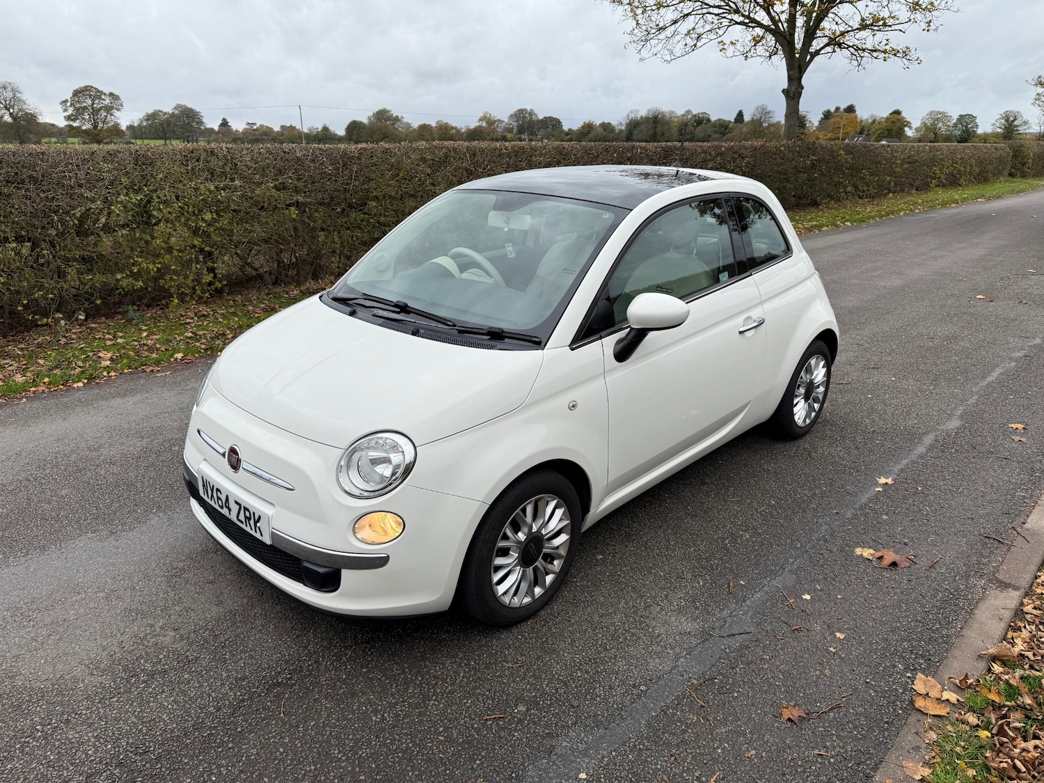 Used Fiat 500 2014 for sale - 76970097: Photo 3