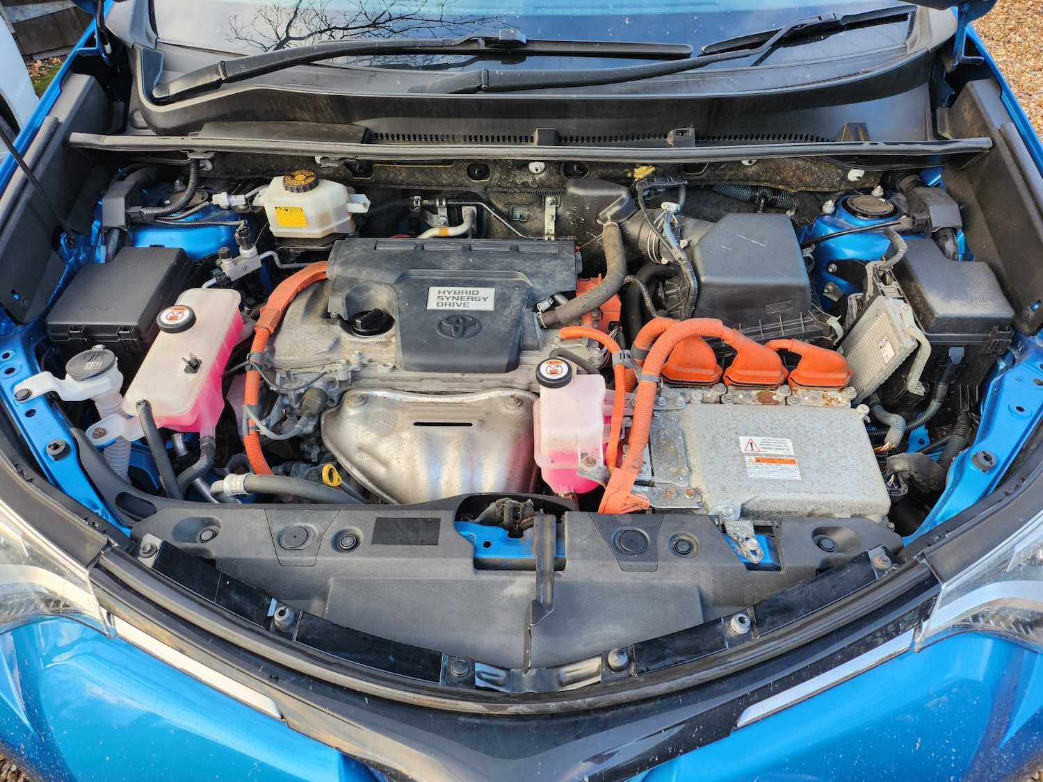 Used Toyota RAV4 2016 for sale - 77138011: Photo 21