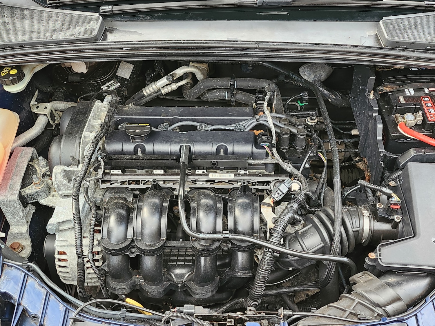 Used Ford Focus 2011 for sale - 77179704: Photo 6