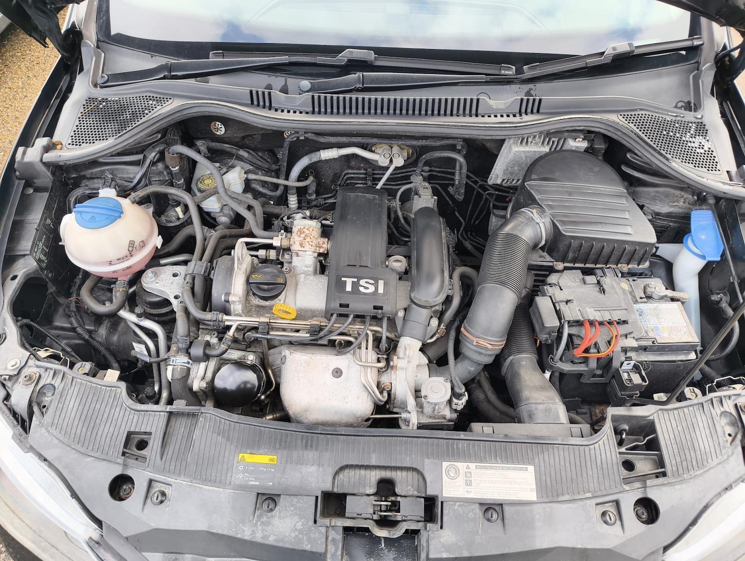 Used SEAT Ibiza 2015 for sale - 77319155: Photo 11