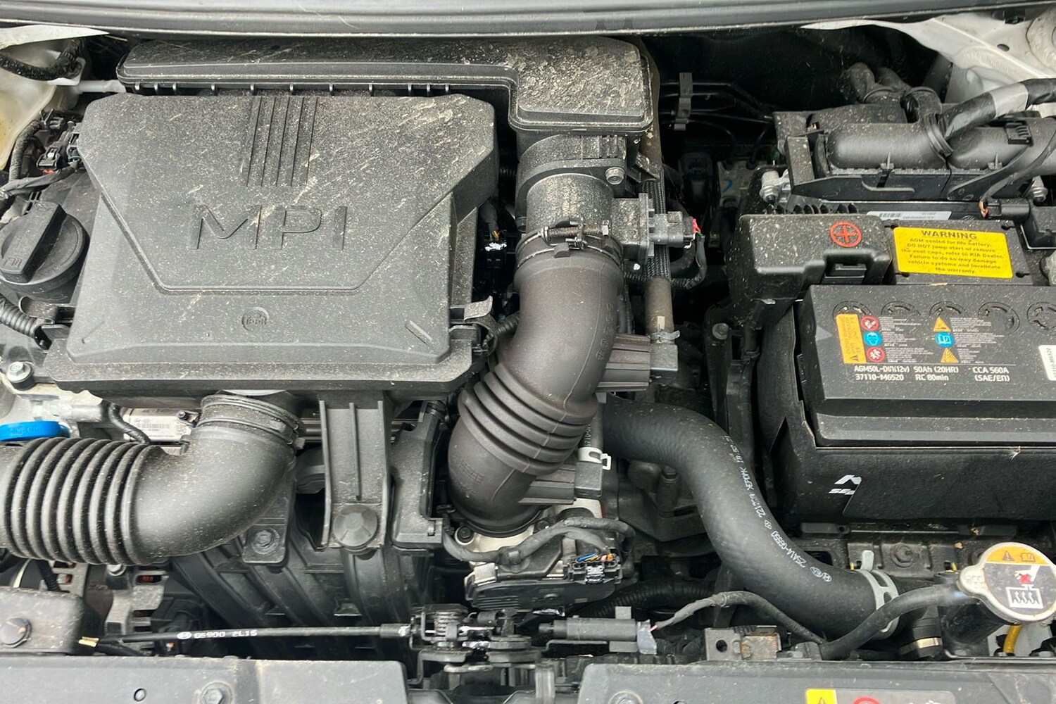 Used Kia Picanto 2023 for sale - 76383028: Photo 40