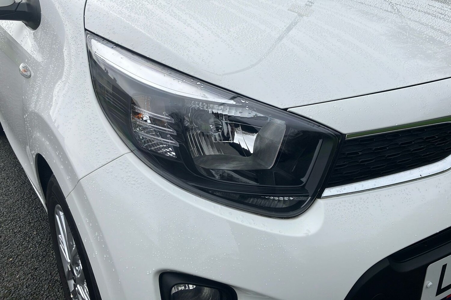 Used Kia Picanto 2023 for sale - 77629877: Photo 22