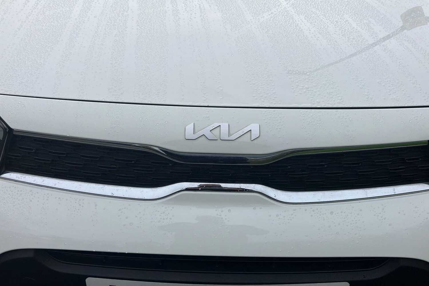 Used Kia Picanto 2023 for sale - 77629877: Photo 23