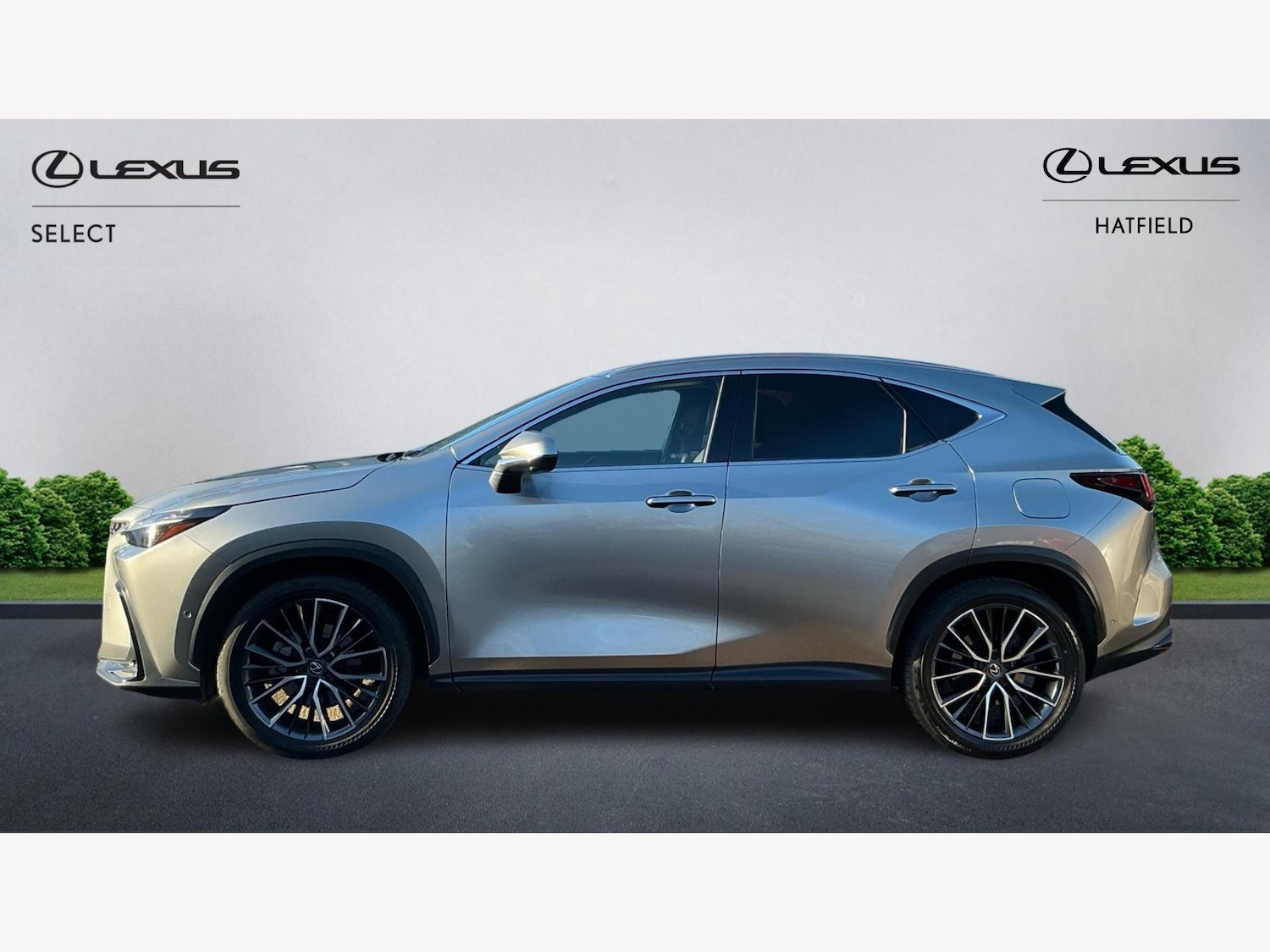 Used Lexus NX 2023 for sale - 77057148: Photo 3