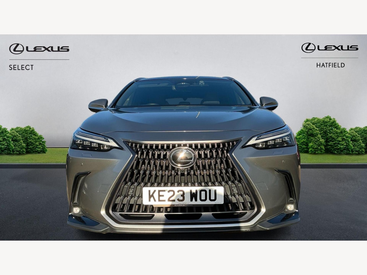 Used Lexus NX 2023 for sale - 77057148: Photo 6