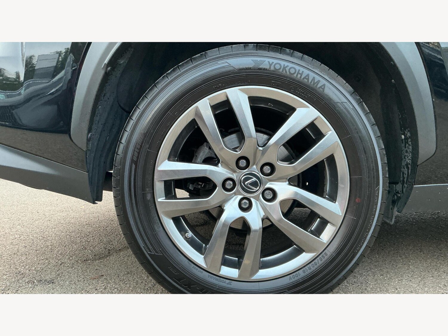 Used Lexus NX 2019 for sale - 77016056: Photo 21