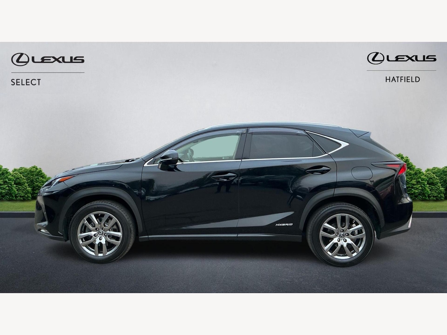 Used Lexus NX 2019 for sale - 77016056: Photo 3