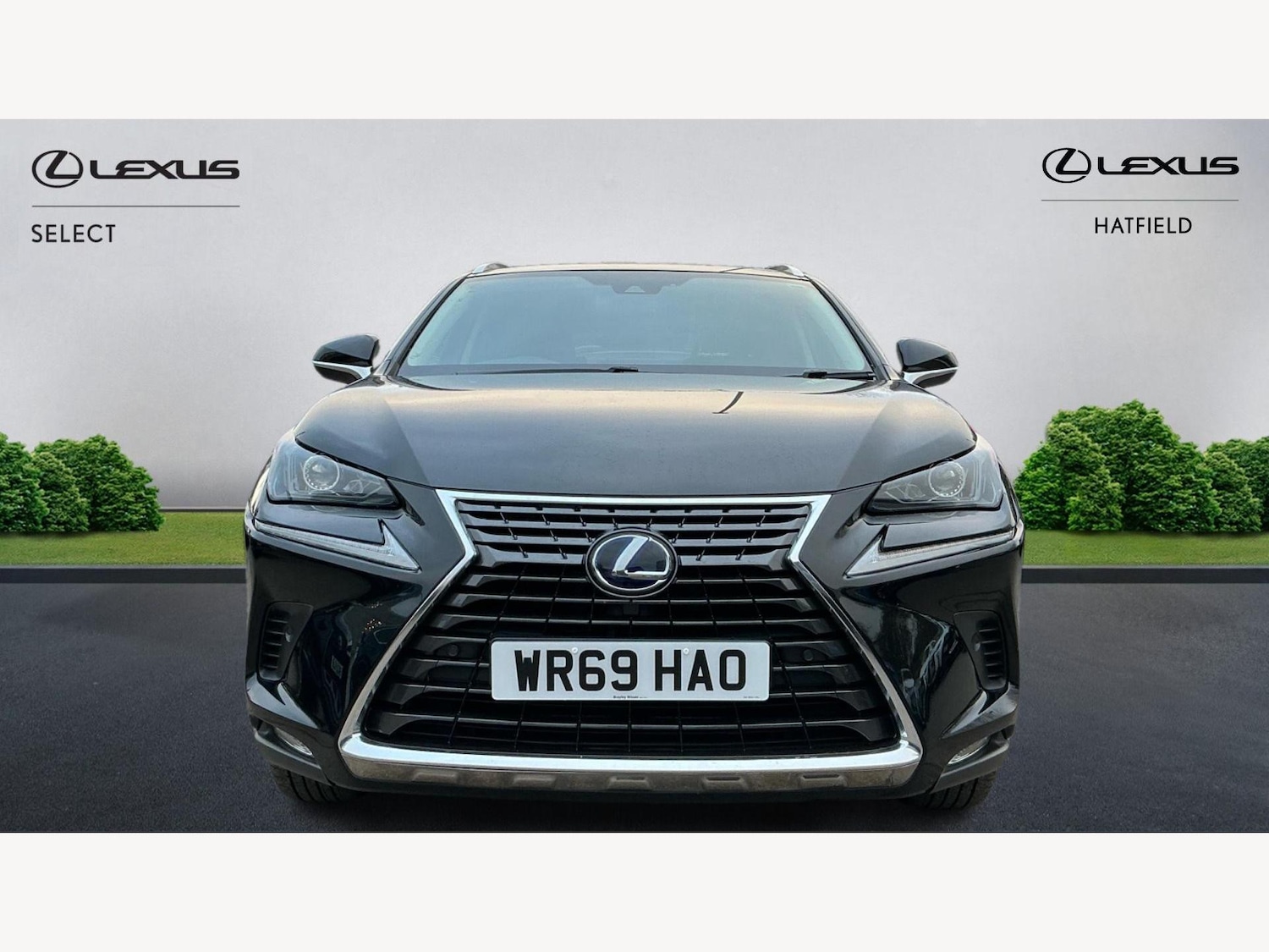 Used Lexus NX 2019 for sale - 77016056: Photo 6