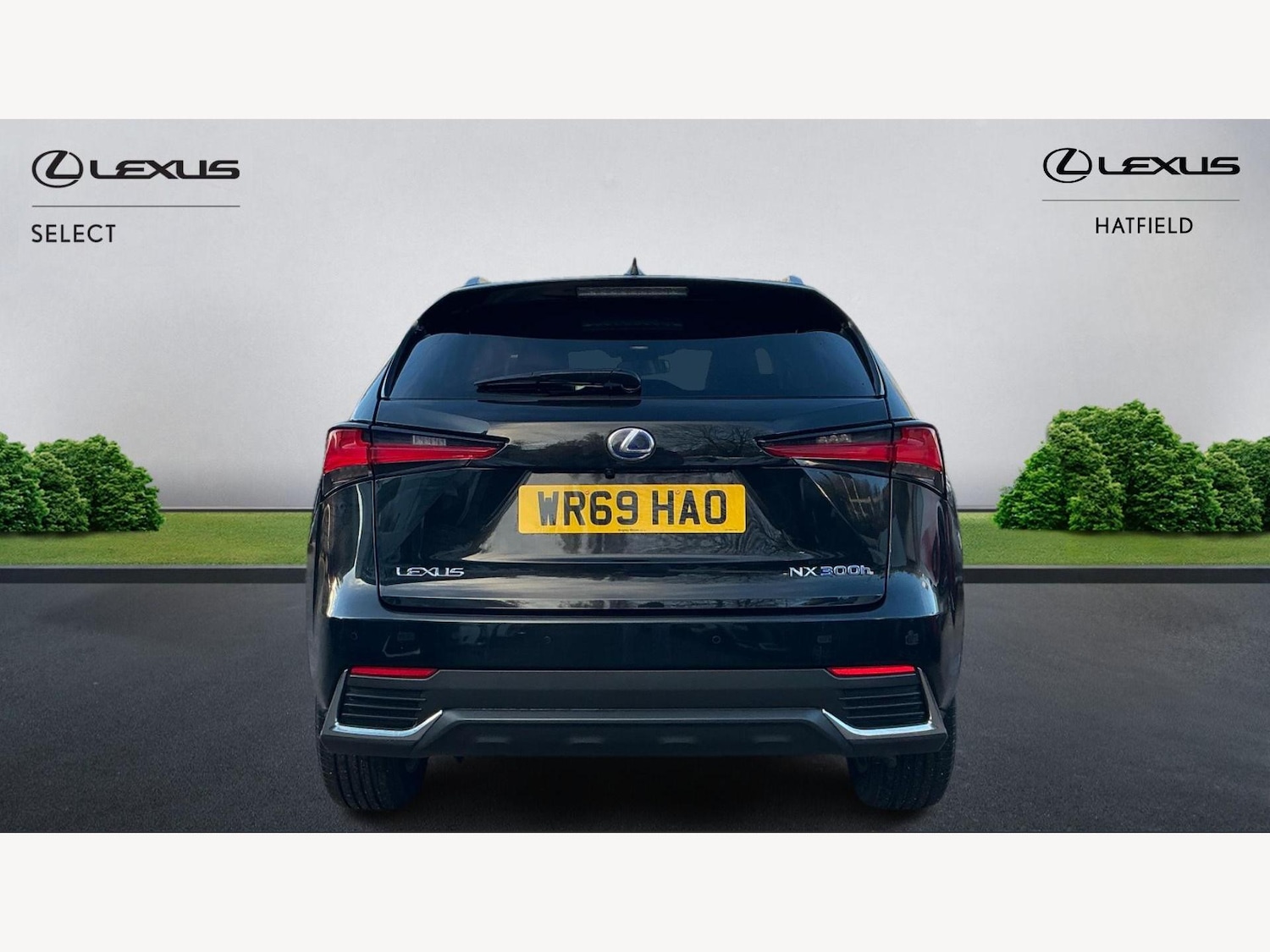 Used Lexus NX 2019 for sale - 77016056: Photo 7