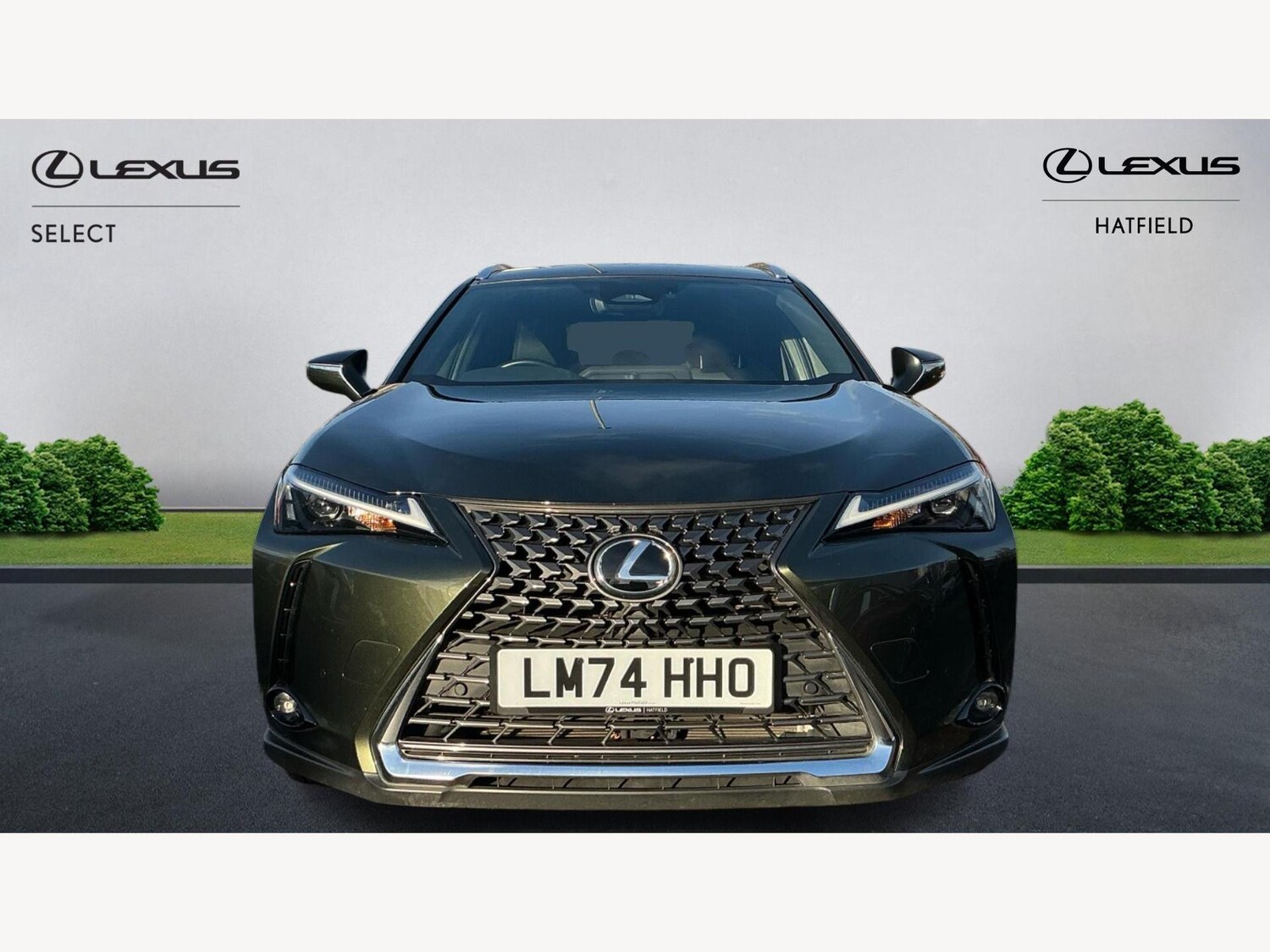 Used Lexus UX 2024 for sale - 77305029: Photo 6