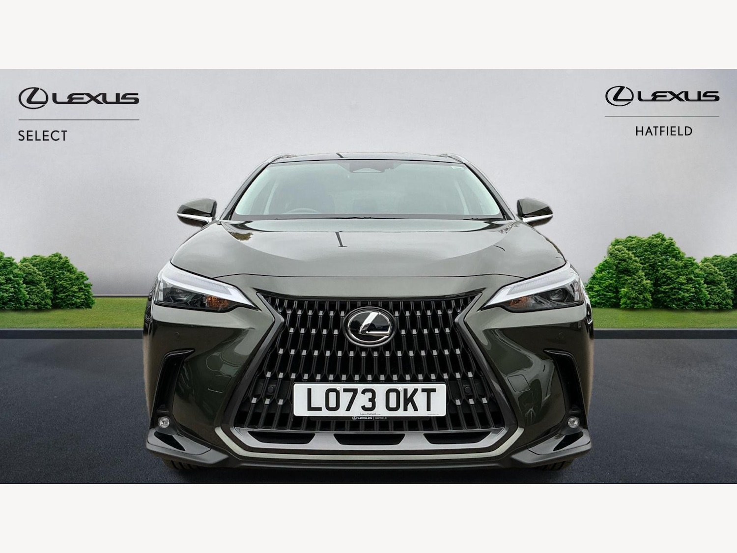 Used Lexus NX 2023 for sale - 76584964: Photo 6