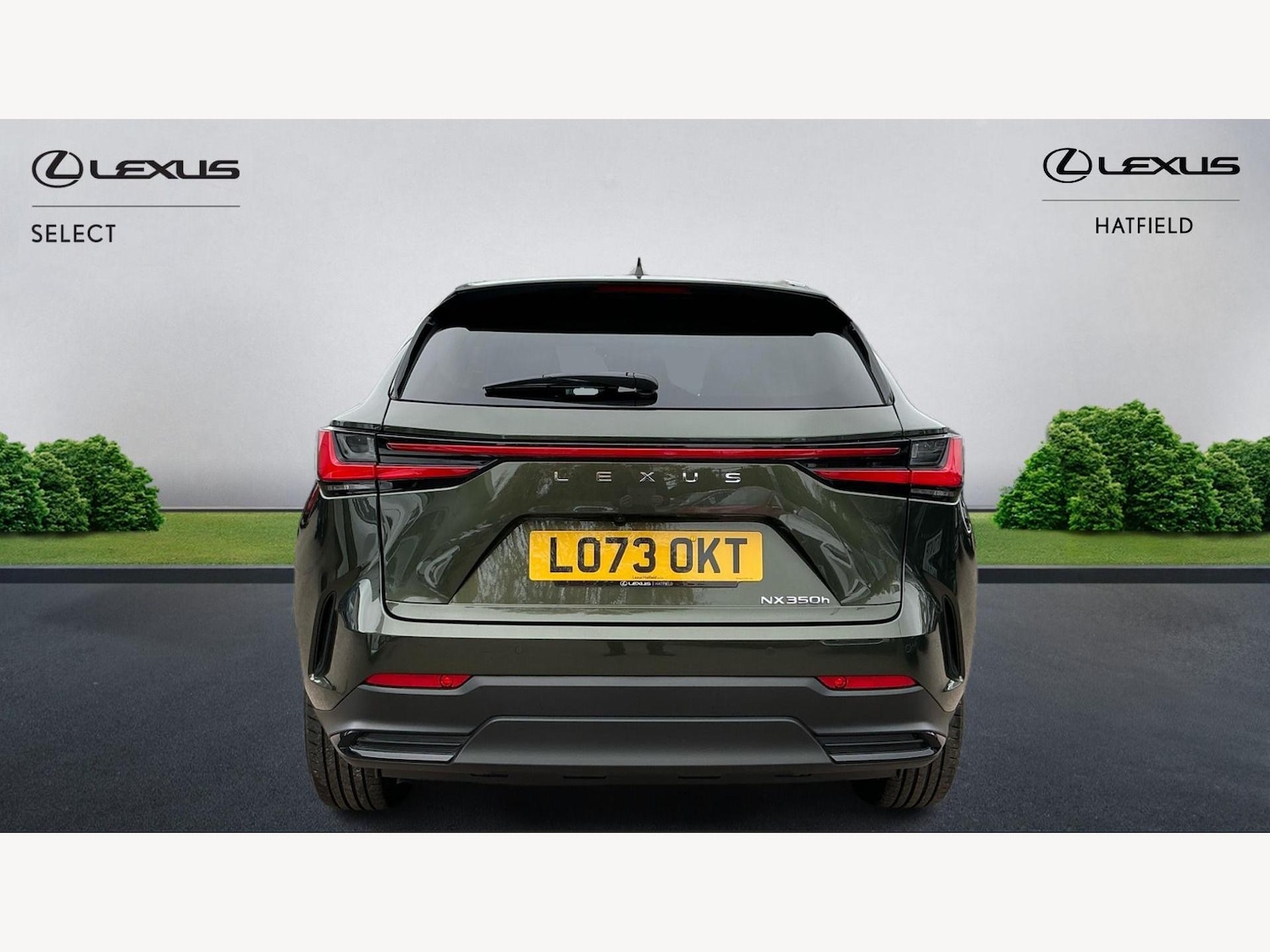 Used Lexus NX 2023 for sale - 76584964: Photo 7