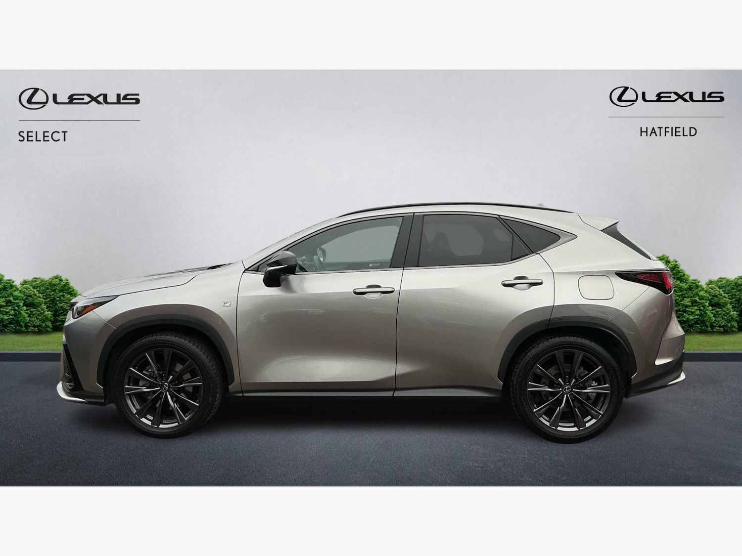 Used Lexus NX 2024 for sale - 76865658: Photo 3