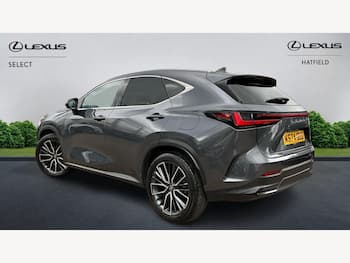 Used Lexus NX 2025 for sale - 79751238: Photo