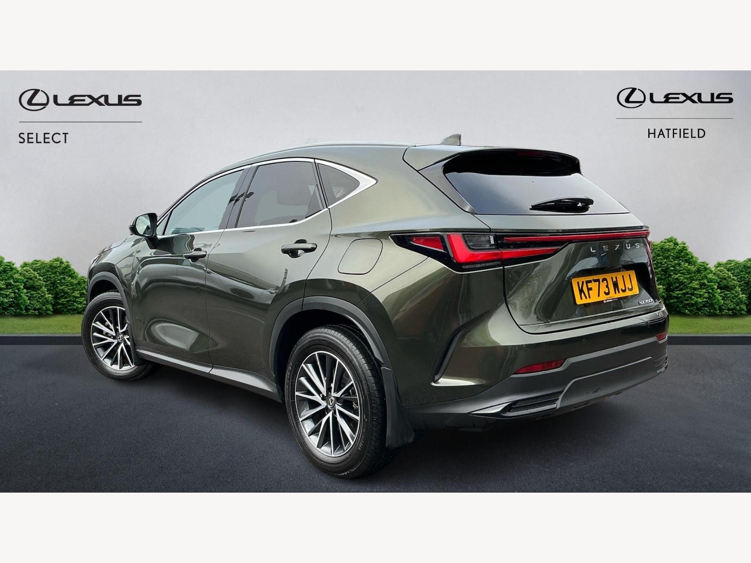 Used Lexus NX 2024 for sale - 77440776: Photo 2