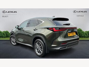 Used Lexus NX 2024 for sale - 77440776: Photo