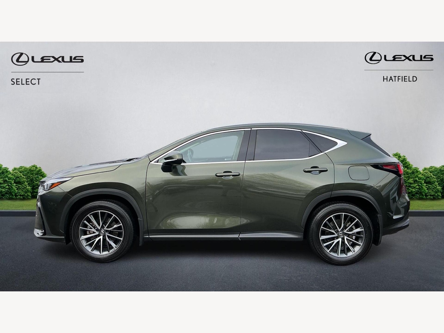 Used Lexus NX 2024 for sale - 77440776: Photo 3