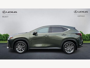 Used Lexus NX 2024 for sale - 77440776: Photo