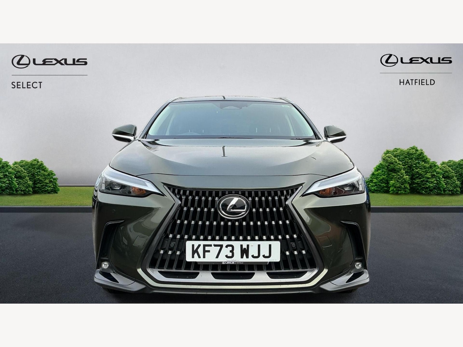 Used Lexus NX 2024 for sale - 77440776: Photo 6