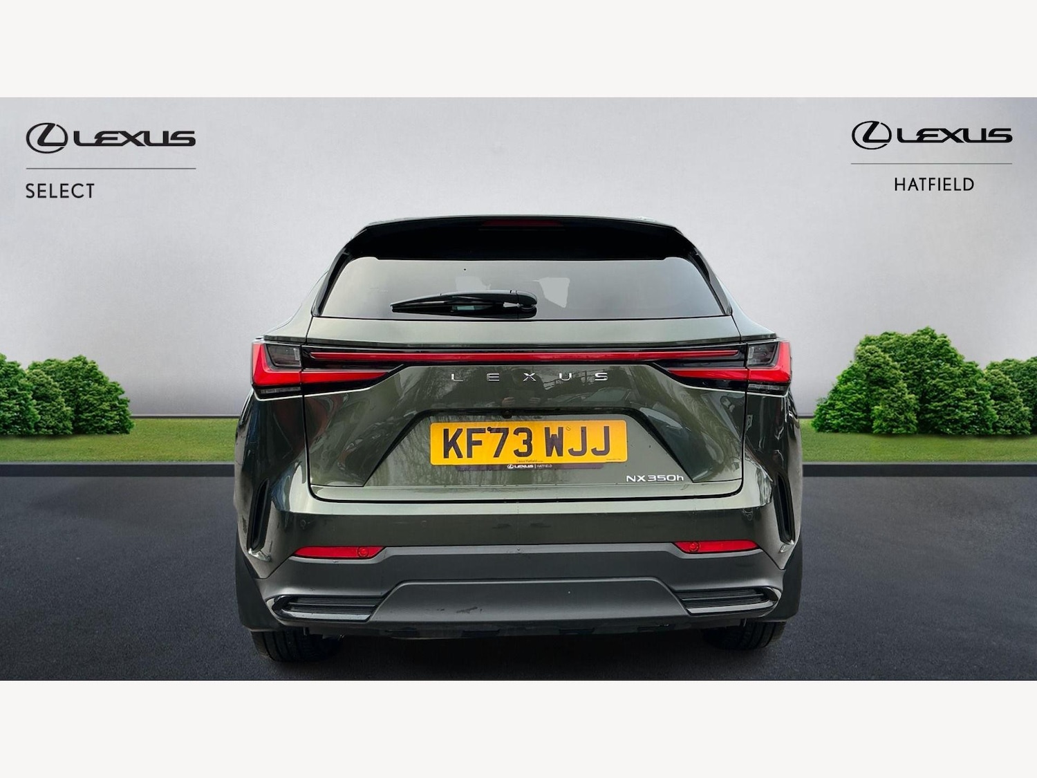 Used Lexus NX 2024 for sale - 77440776: Photo 7