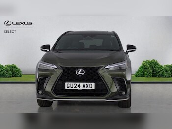 Used Lexus NX 2024 for sale - 75635252: Photo