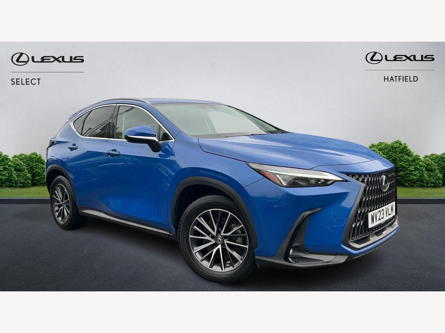 Used Lexus NX 2023 for sale - 76432770: Photo 1