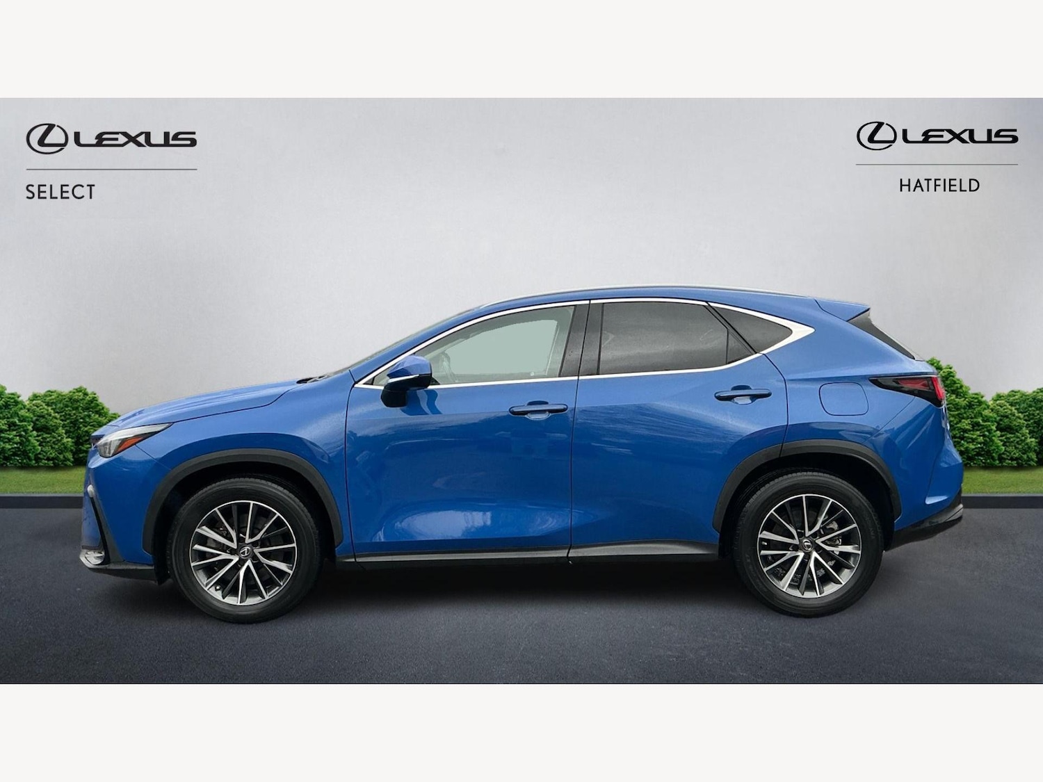 Used Lexus NX 2023 for sale - 76432770: Photo 3
