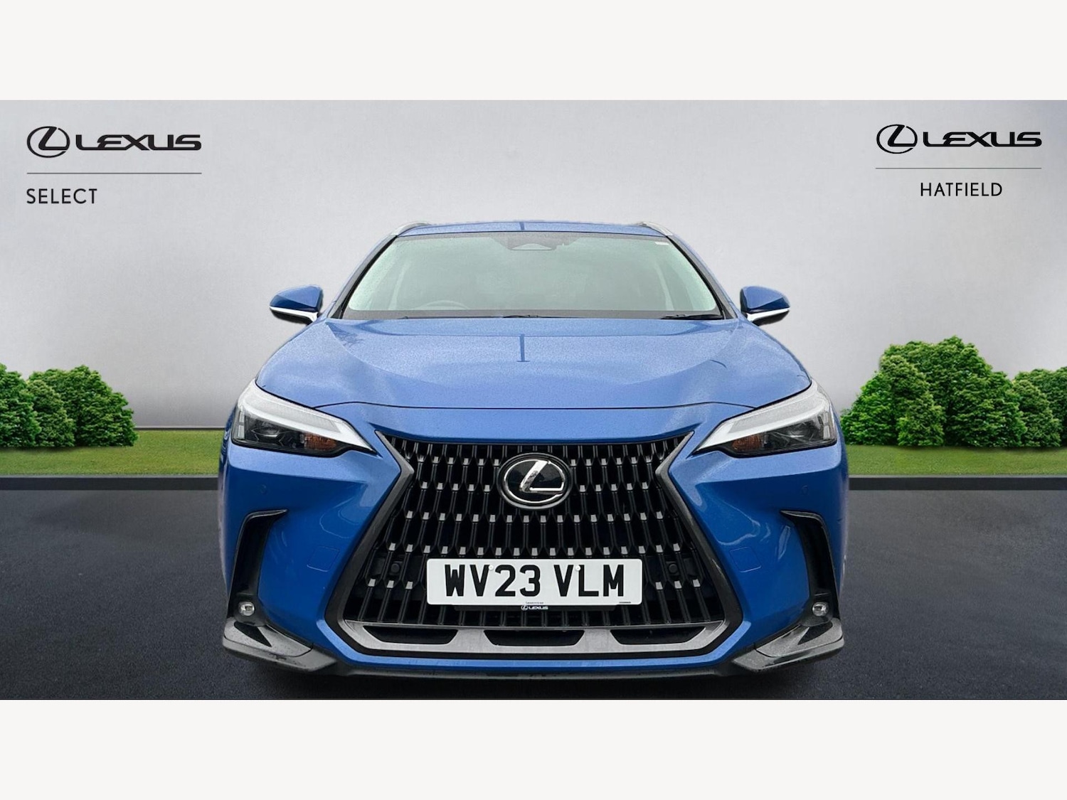 Used Lexus NX 2023 for sale - 76432770: Photo 6