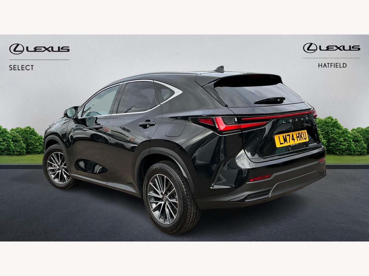 Used Lexus NX 2024 for sale - 77793743: Photo 2