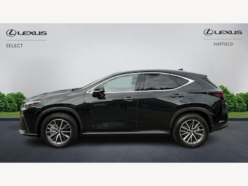 Used Lexus NX 2024 for sale - 77793743: Photo