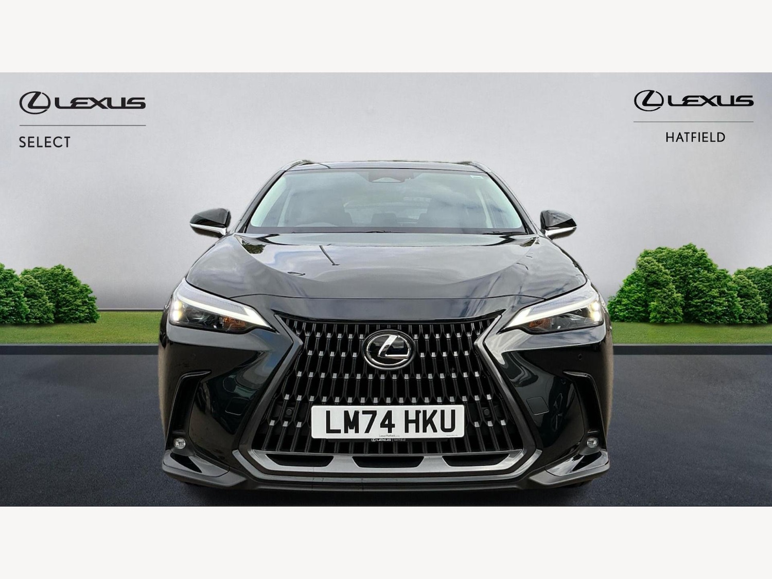 Used Lexus NX 2024 for sale - 77793743: Photo 6