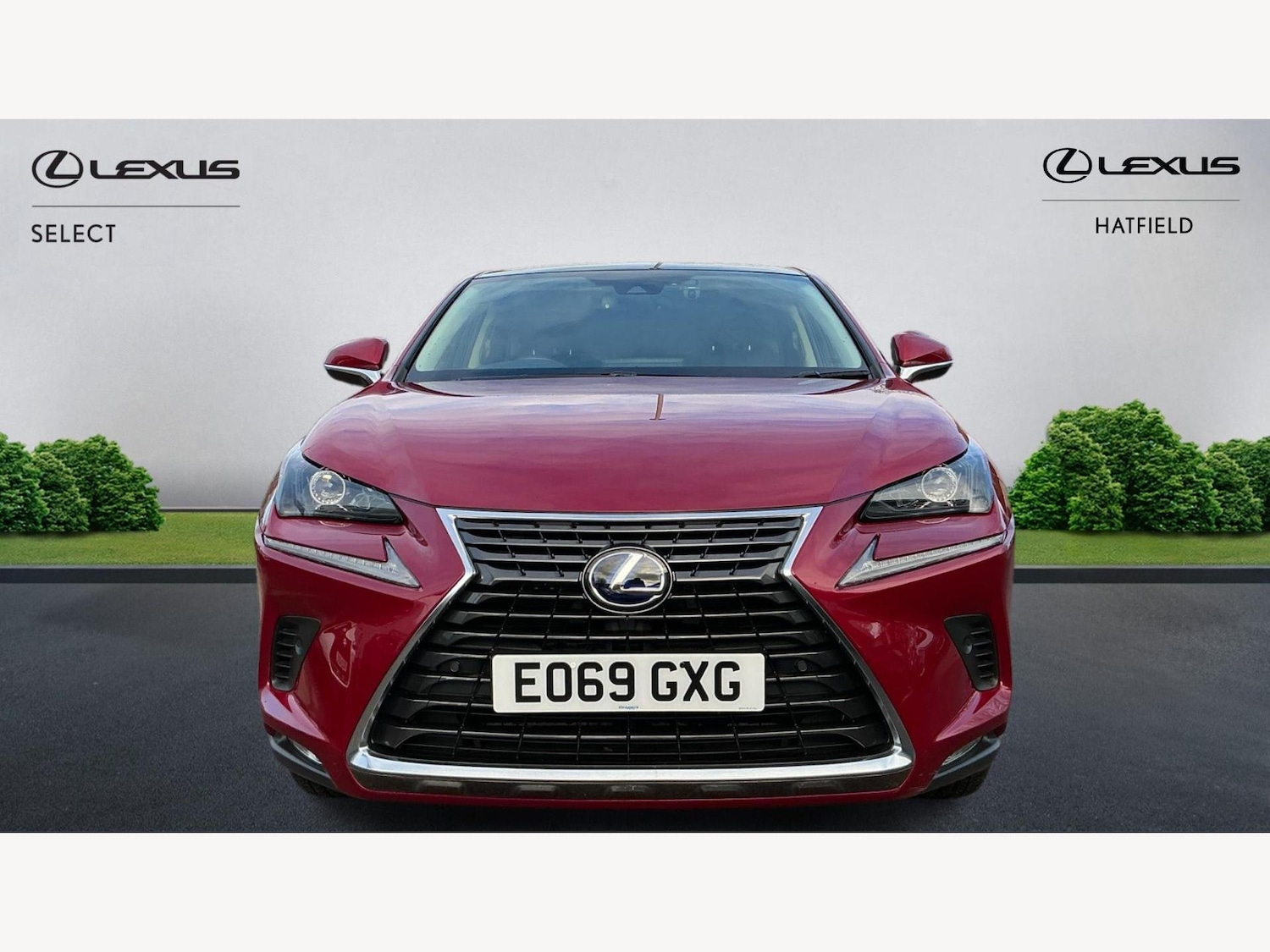 Used Lexus NX 2019 for sale - 76658140: Photo 6