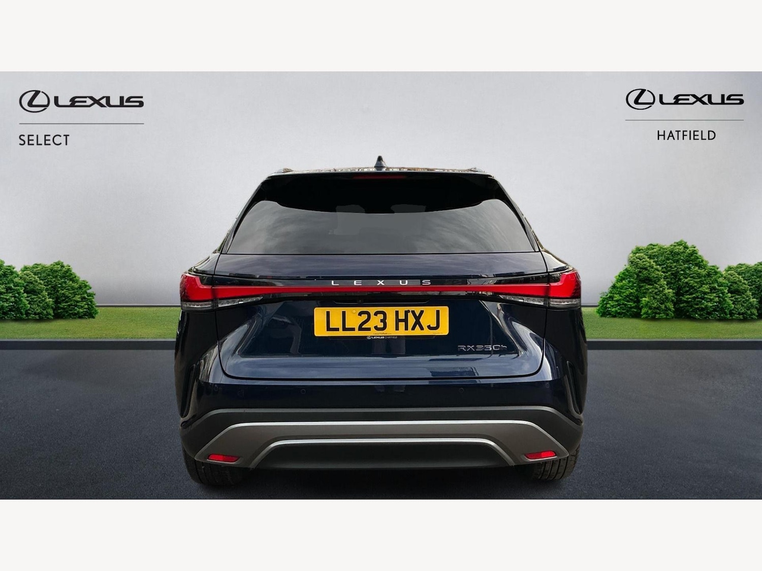 Used Lexus RX 2023 for sale - 76446818: Photo 7