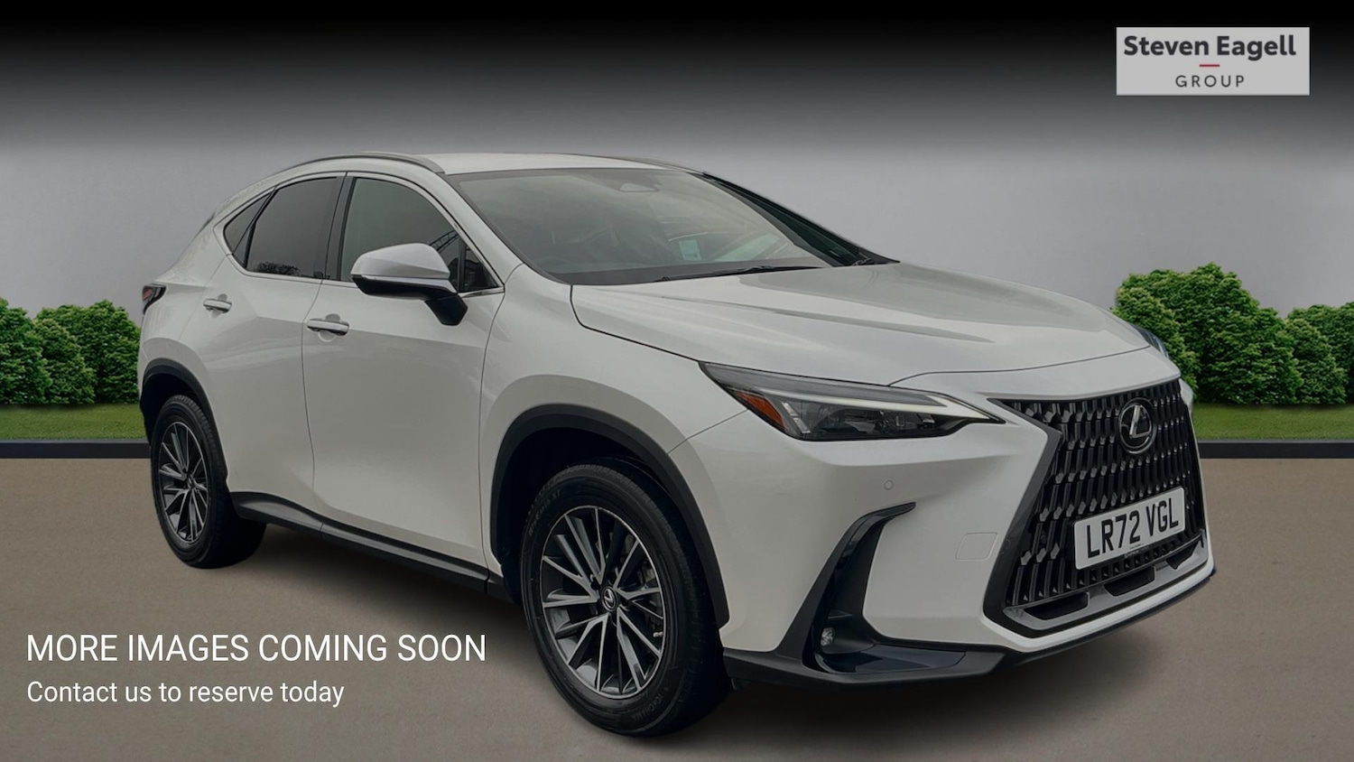 Used Lexus NX for sale - 77344040: Photo 1