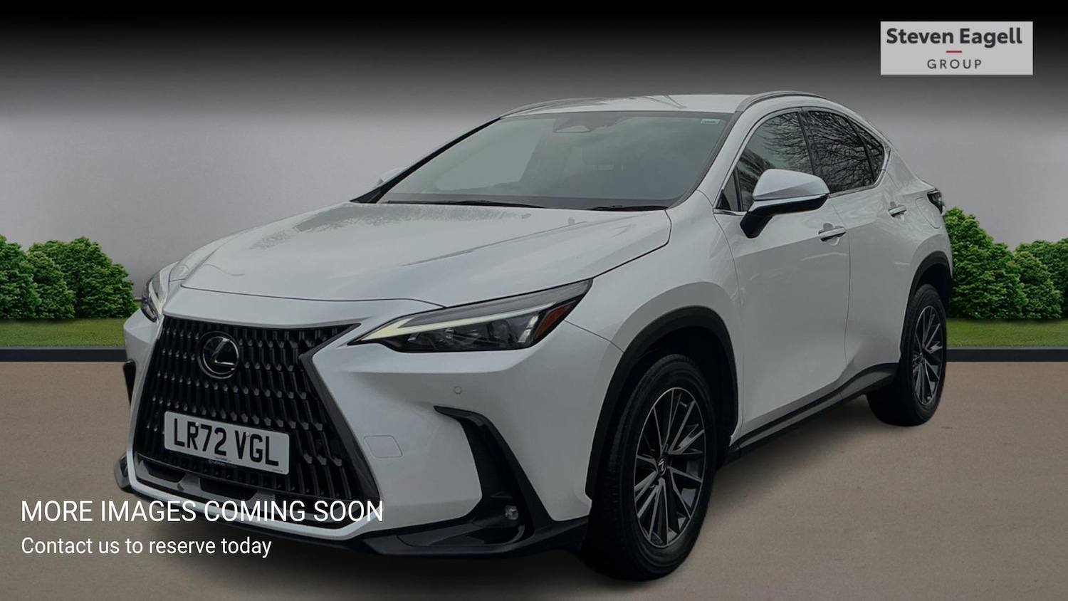 Used Lexus NX for sale - 77344040: Photo 3