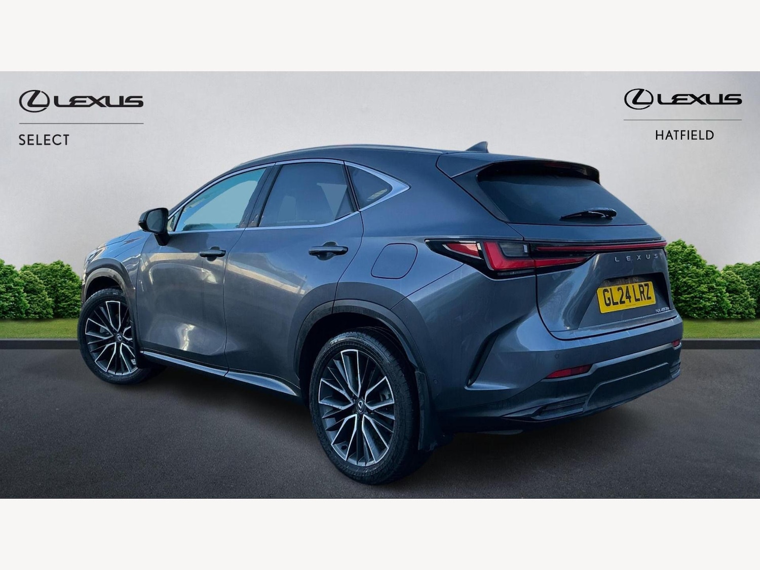 Used Lexus NX 2024 for sale - 77633583: Photo 2