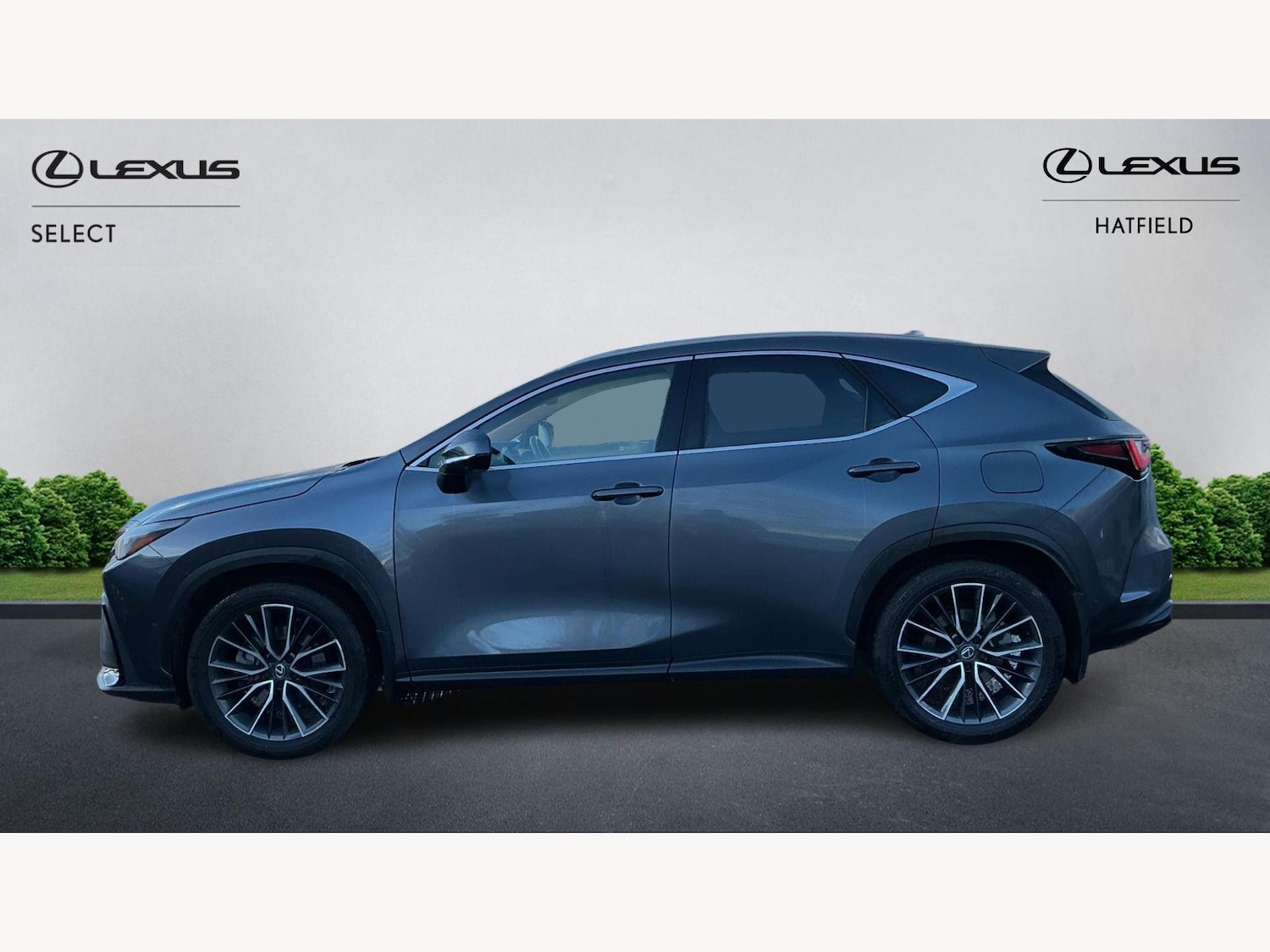 Used Lexus NX 2024 for sale - 77633583: Photo 3
