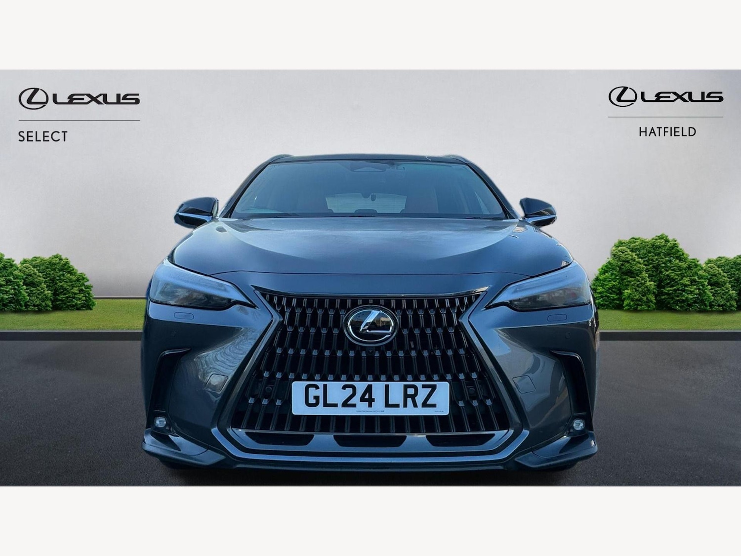 Used Lexus NX 2024 for sale - 77633583: Photo 6