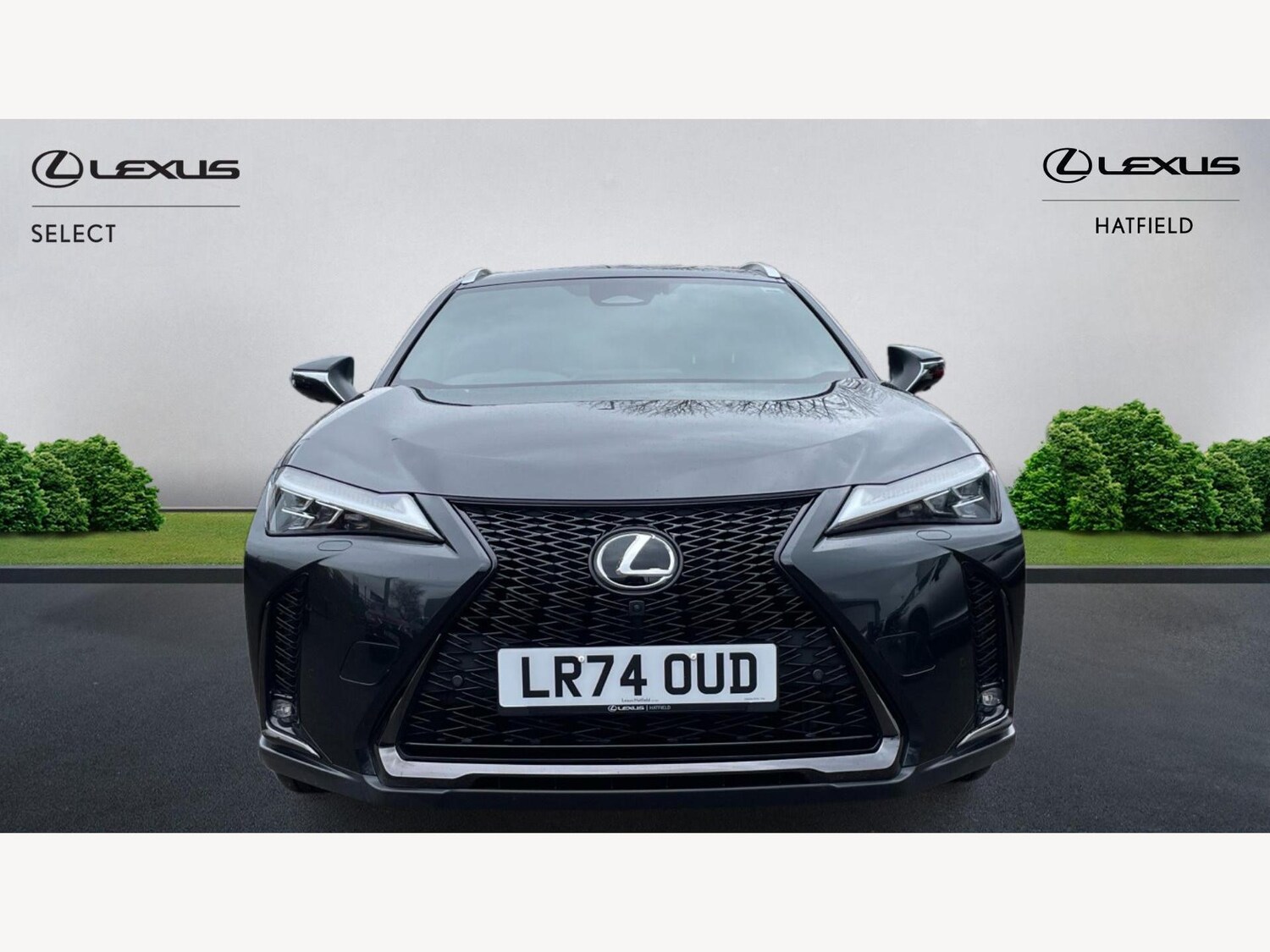 Used Lexus UX 2024 for sale - 76151281: Photo 6