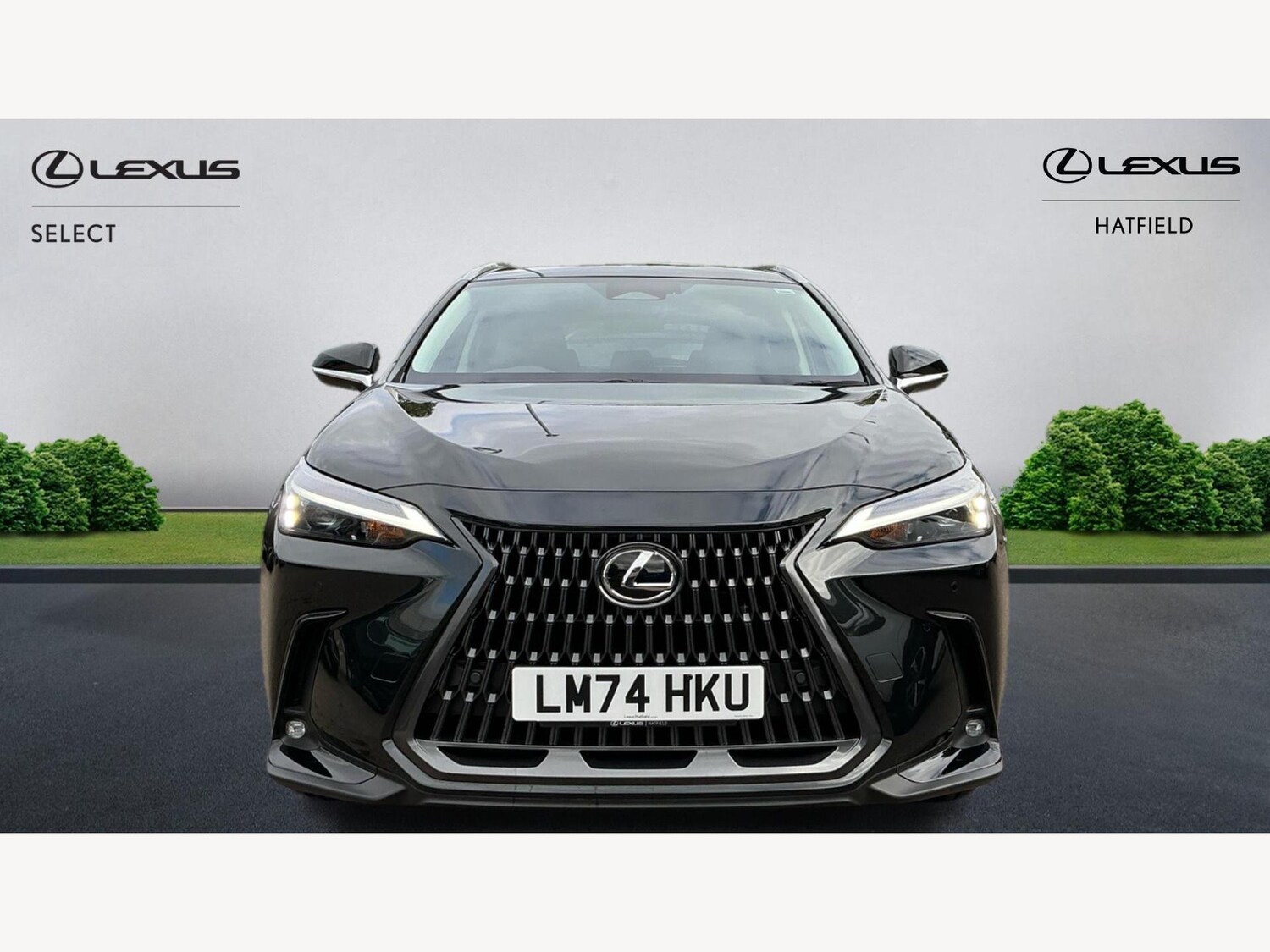 Used Lexus NX 2024 for sale - 75965110: Photo 6