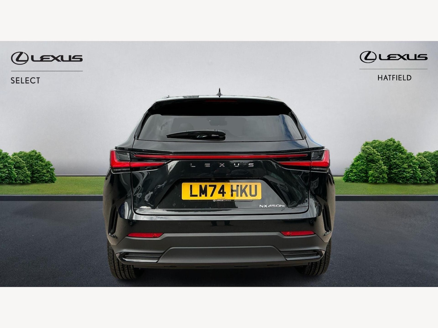 Used Lexus NX 2024 for sale - 75965110: Photo 7