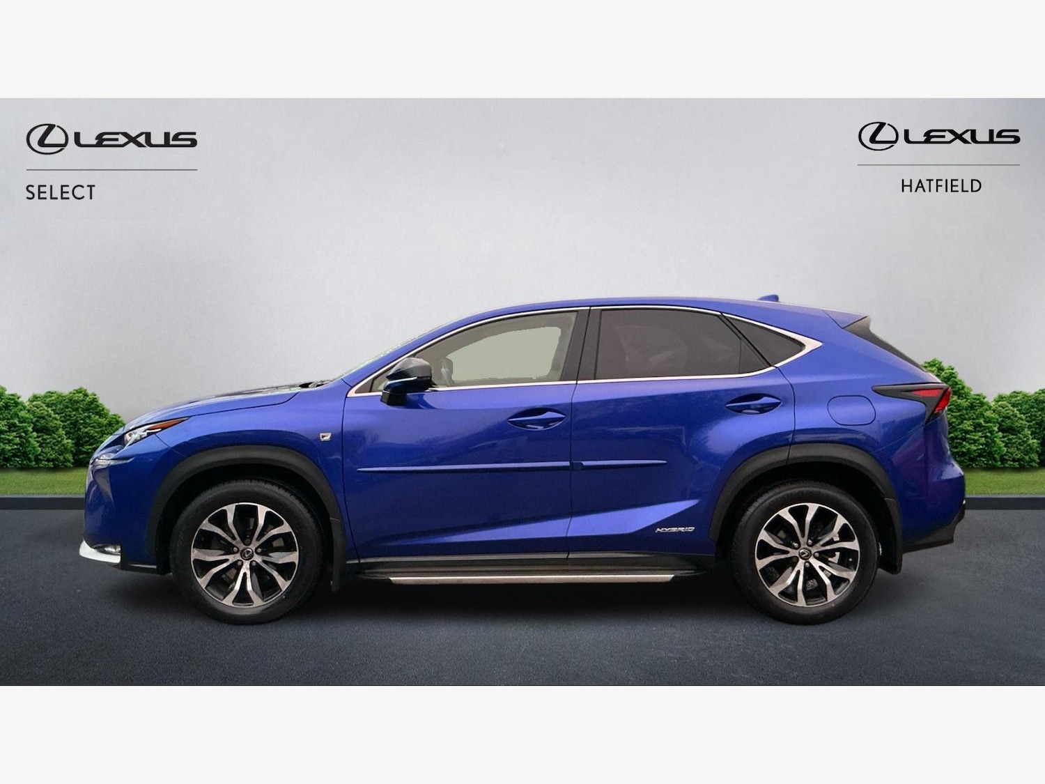 Used Lexus NX 2015 for sale - 77057271: Photo 3