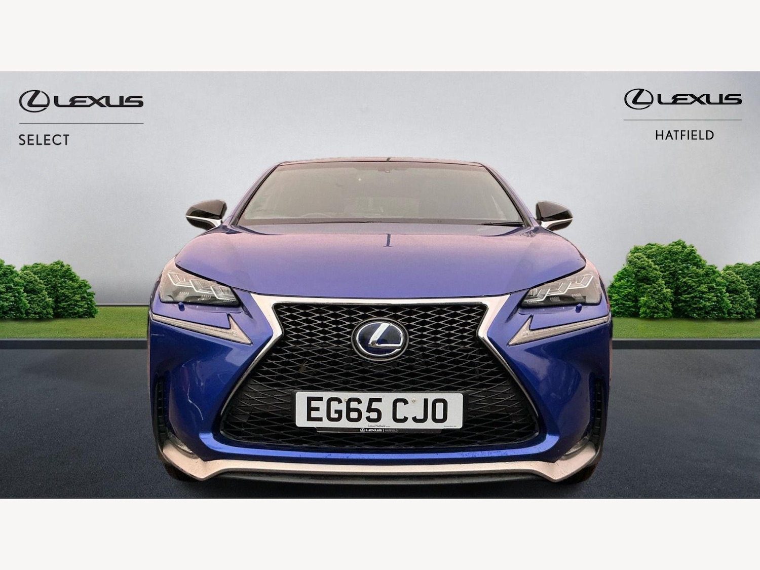 Used Lexus NX 2015 for sale - 77057271: Photo 6