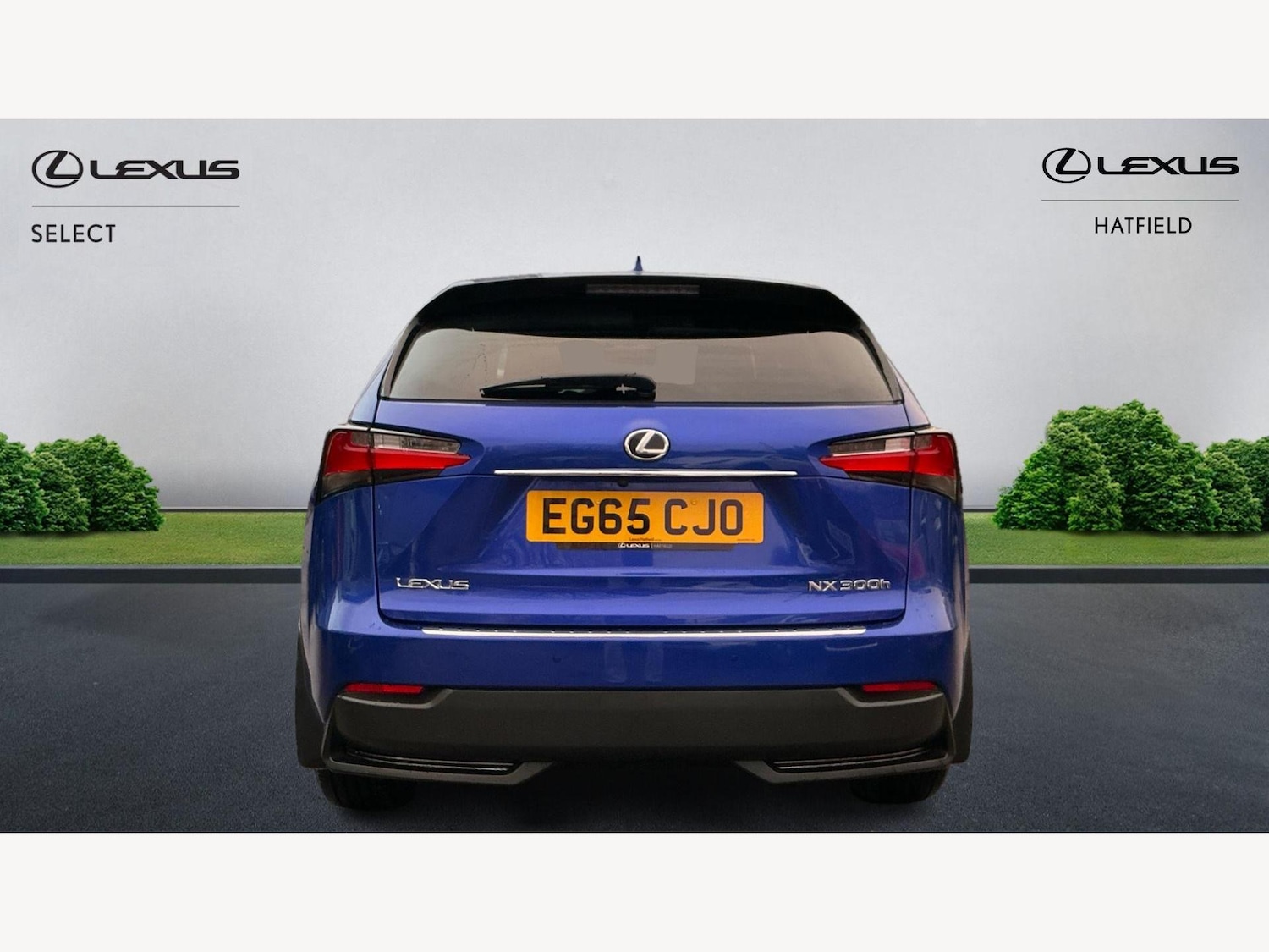 Used Lexus NX 2015 for sale - 77057271: Photo 7