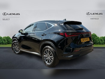 Used Lexus NX 2025 for sale - 78417427: Photo