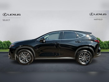 Used Lexus NX 2025 for sale - 78417427: Photo