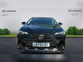 Used Lexus NX 2025 for sale - 78417427: Photo