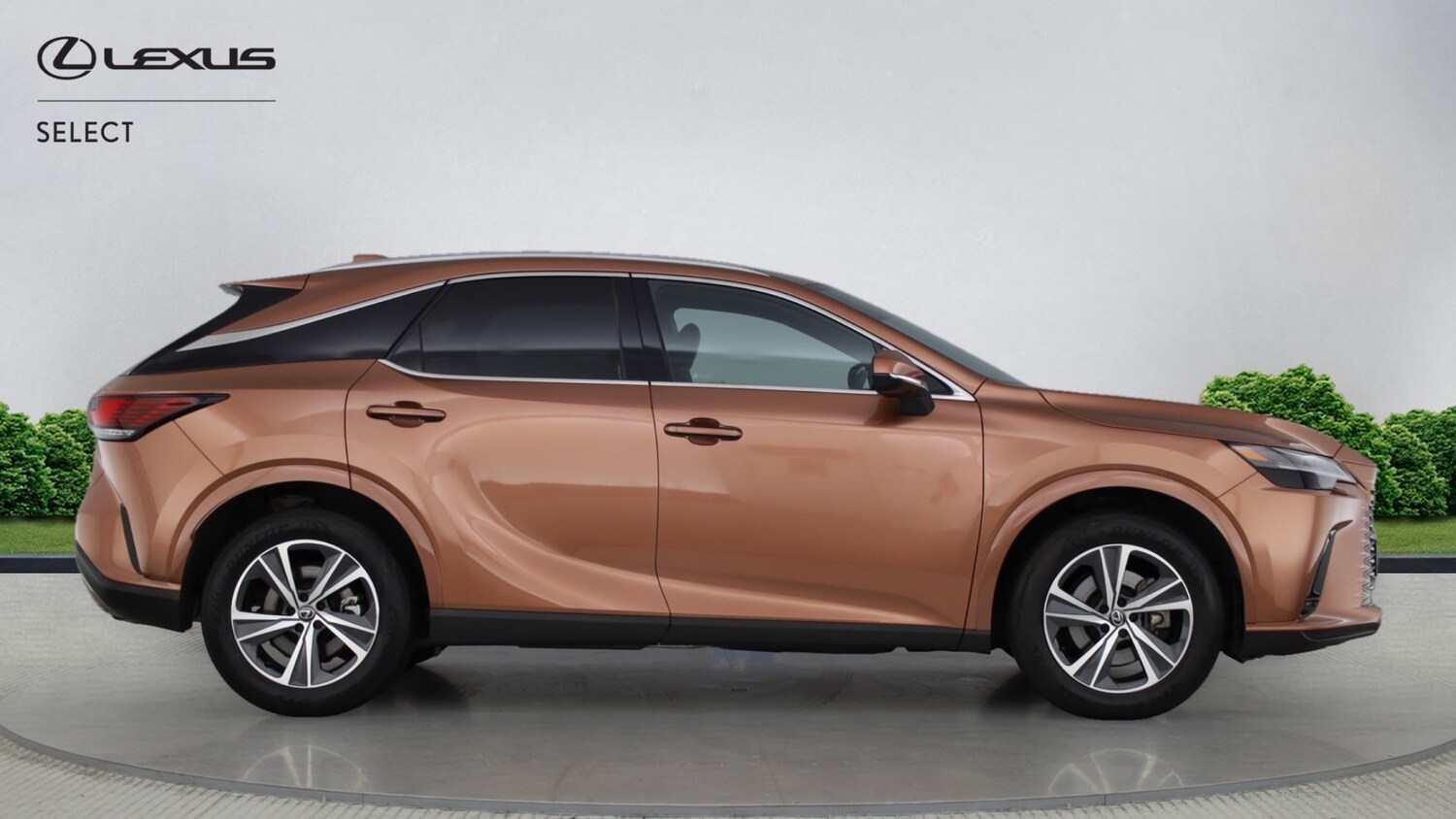 Used Lexus RX 2024 for sale - 77359005: Photo 16