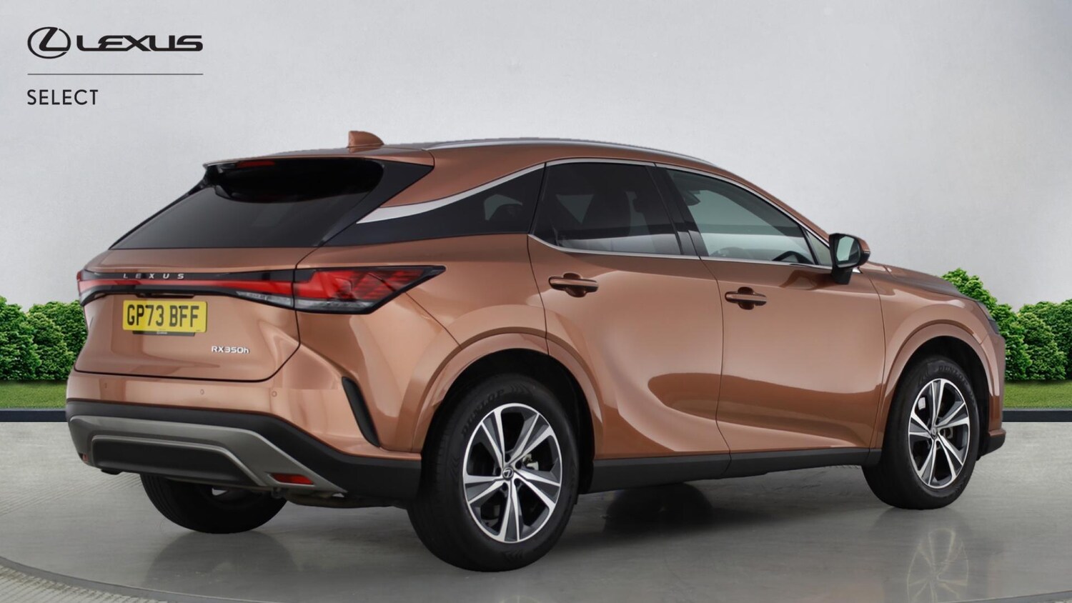 Used Lexus RX 2024 for sale - 77359005: Photo 18