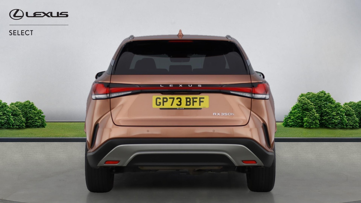 Used Lexus RX 2024 for sale - 77359005: Photo 5